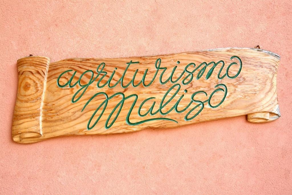 Agriturismo Maliso Ceggia Eksteriør billede